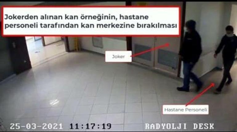 Sahte engelli raporu hazırlayan suç örgütüne operasyon 380 gözaltı kararı