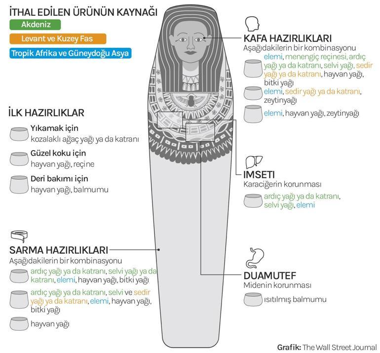 Binlerce yıl sonra bile şaşırtmaya devam ediyorlar Antik Mısır mumyalarıyla ilgili çığır açan keşif