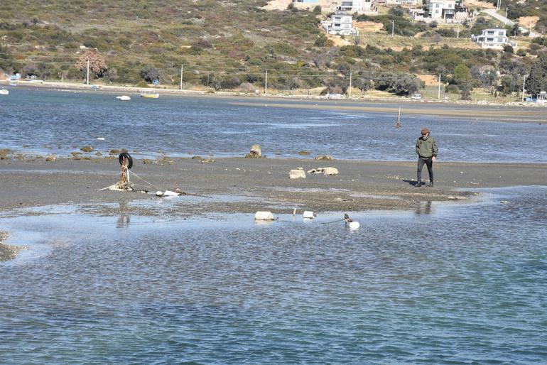 İzmir Seferihisarda deniz suyu 25 metre çekildi Korkulacak bir şey yok