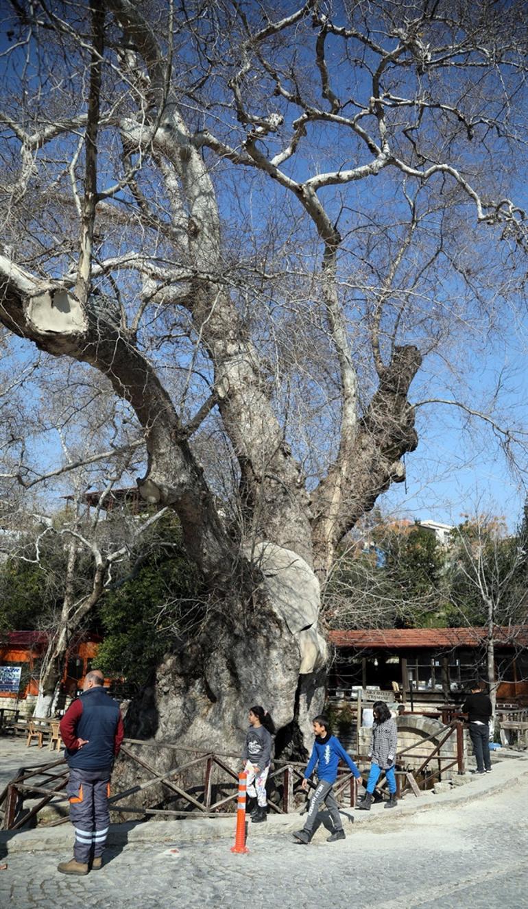 Hatayın Samandağ ilçesindeki bu köyde can kaybı yok
