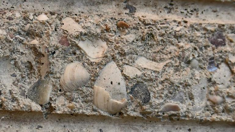 Kadıköyde deprem analizi yoğunluğu Numunelerden çıkanlar şaşkına çeviriyor