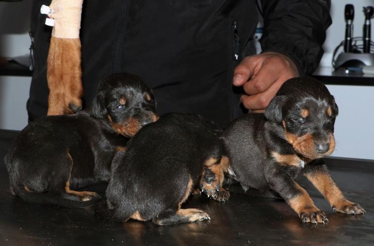 29 gün sonra gelen mucize Enkaz altında doğum yapan Şila, sağ kurtarıldı