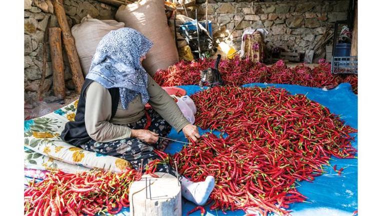 İyileşmek için üretiyorlar