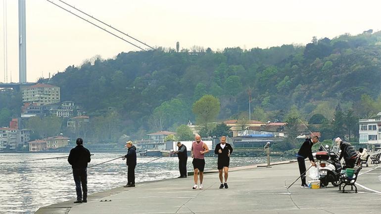Şeker tadında gezmeler
