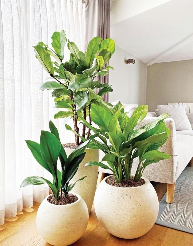 Sen bu çiçeklerden daha güzelsin