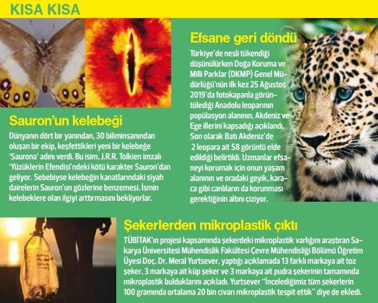 Bastığın yerleri tanı...