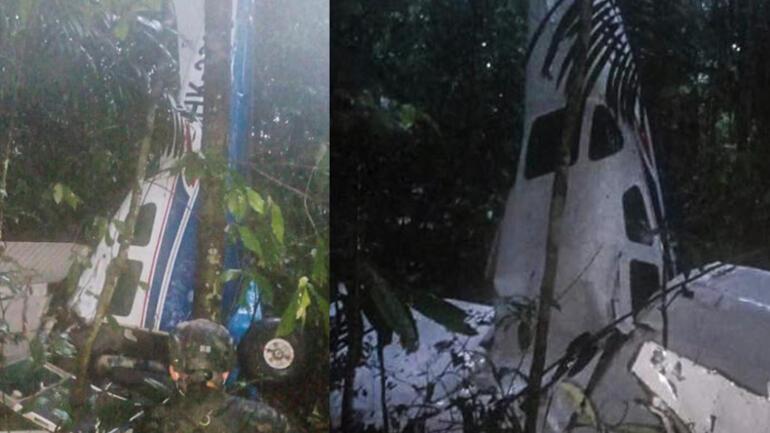 Gerçek bir mucize: Uçakları düşen 4 çocuk, 2 hafta sonra ormanlık alanda sağ bulundu