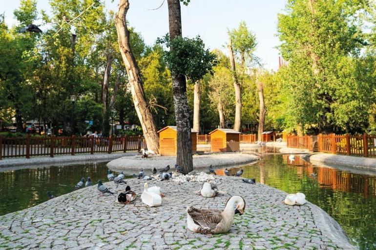 Şimdi harekete geçme zamanı