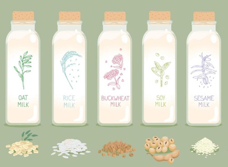 SÜT DOSYASI | İnek sütü sağlığa zararlı mı Popüler olan bitkisel sütler göründüğü kadar masum mu | 7 SORU 7 YANIT