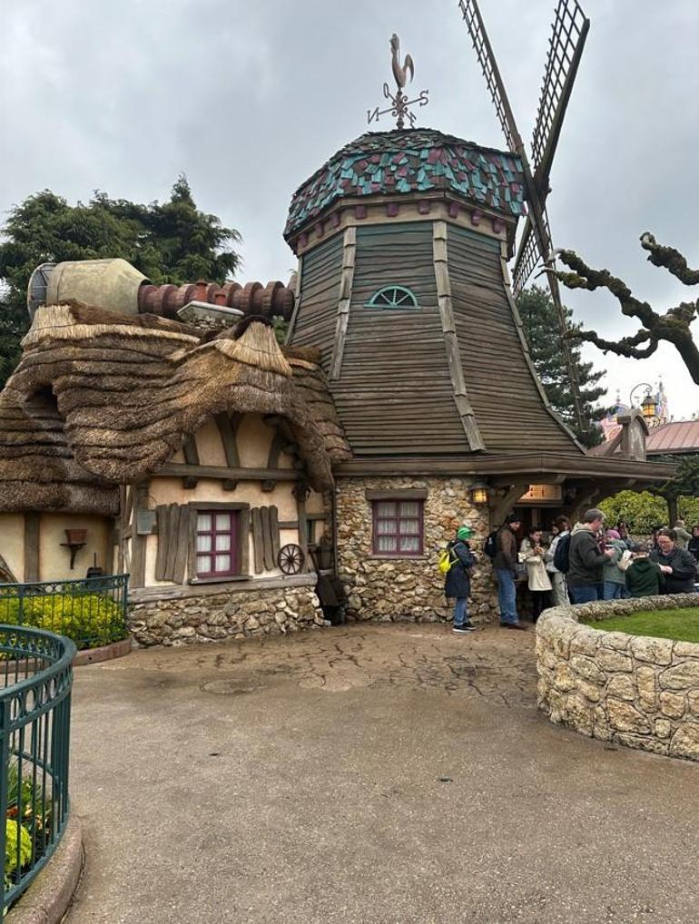 Engelliler için Disneyland gezi rehberi