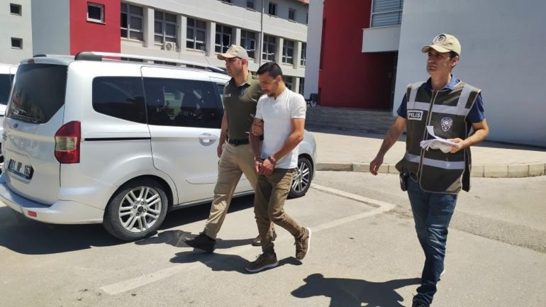 Koyunu bayıltana kadar döven, kasap çıktı... Yorulsun diye yaptım