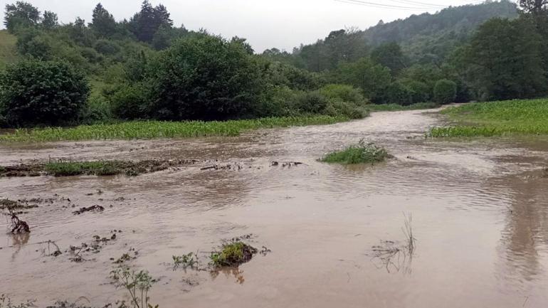 Karadeniz sel felaketi Dereler taştı, yollar göle döndü, evleri su bastı Trafik durma noktasına geldi