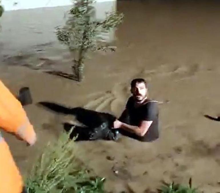 Karadenizi sel vurdu: Dereler taştı, yollar göle döndü... İçişleri Bakanı Yerlikayadan yeni uyarı