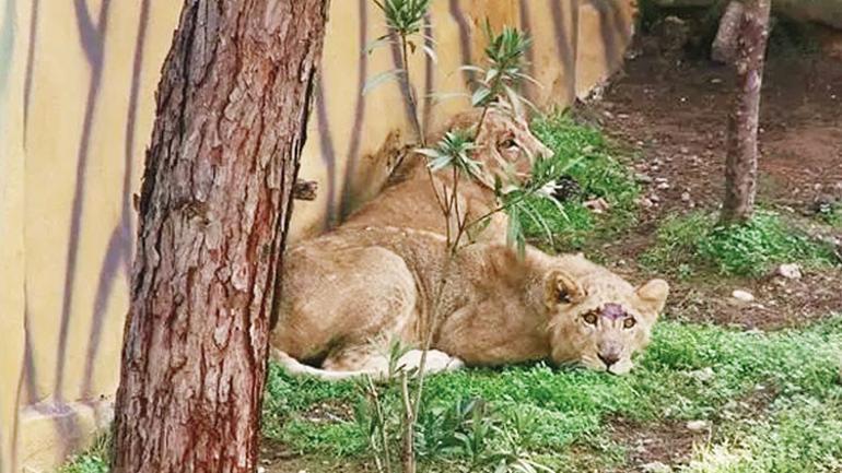 İmamoğlu politikası işte böyle olur