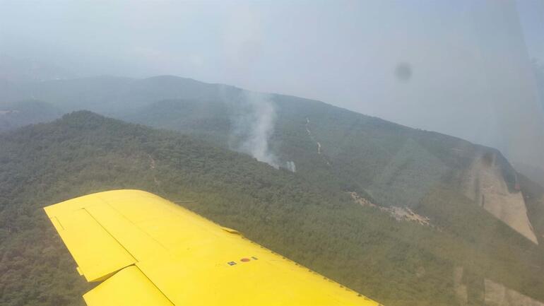 İzmir Mendereste orman yangını: Havadan ve karadan müdahale ediliyor