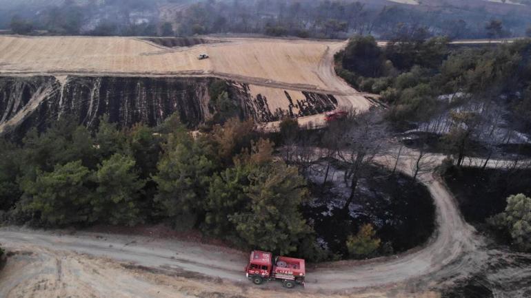 Son dakika... Çanakkale, Bursa ve Bilecikte orman yangını: Çanakkale-Çan yolu tedbir amacıyla ulaşıma kapatıldı