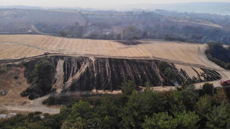 Son dakika... Çanakkale, Bursa ve Bilecikte orman yangını: Çanakkale-Çan yolu tedbir amacıyla ulaşıma kapatıldı