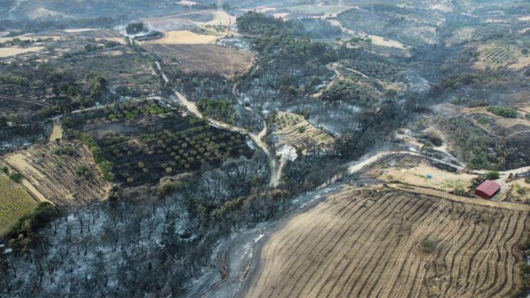 Yeşil vatanda Çanakkale seferberliği