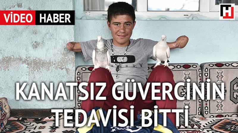 Kanatsız güvercinin tedavisi bitti, sıra kollarında
