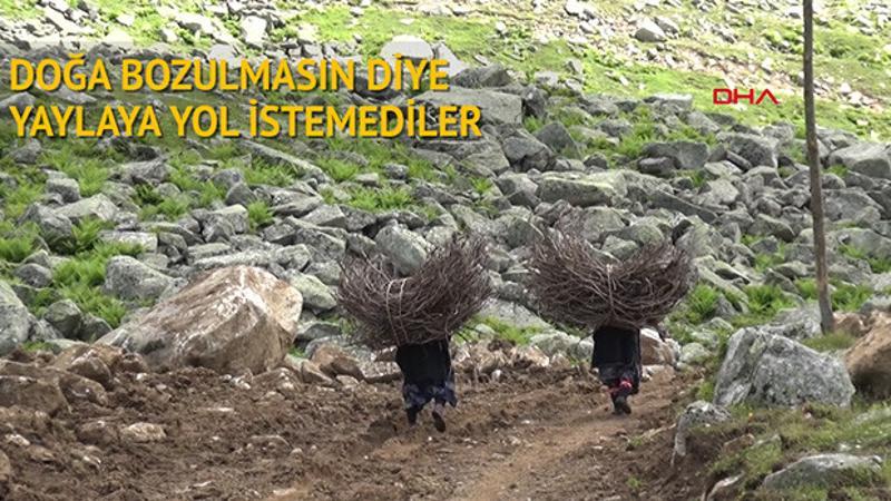 Doğa bozulmasın diye yaylaya yol istemediler