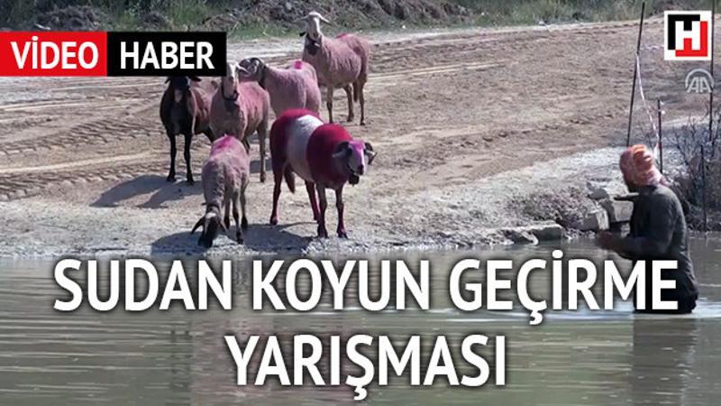 'Sudan Koyun Geçirme Yarışması'
