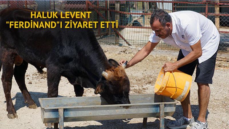 Haluk Levent "Ferdinand"ı ziyaret etti