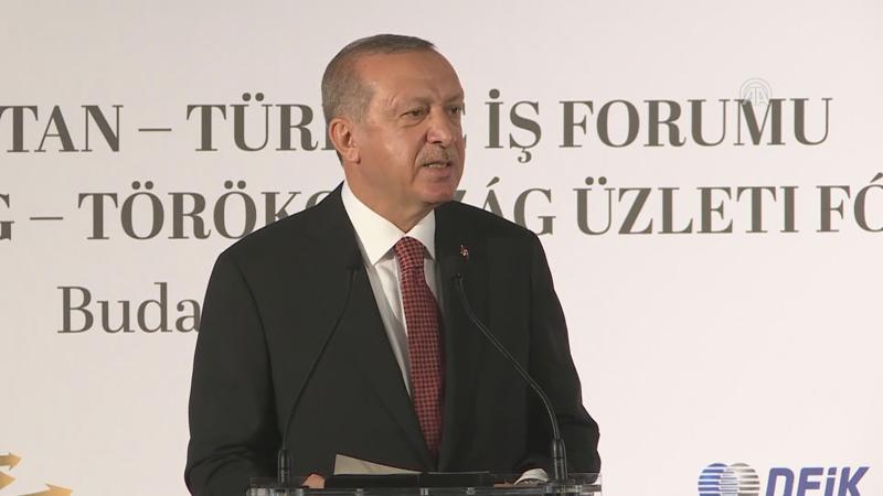 Cumhurbaşkanı Erdoğan, Macaristan'da konuştu