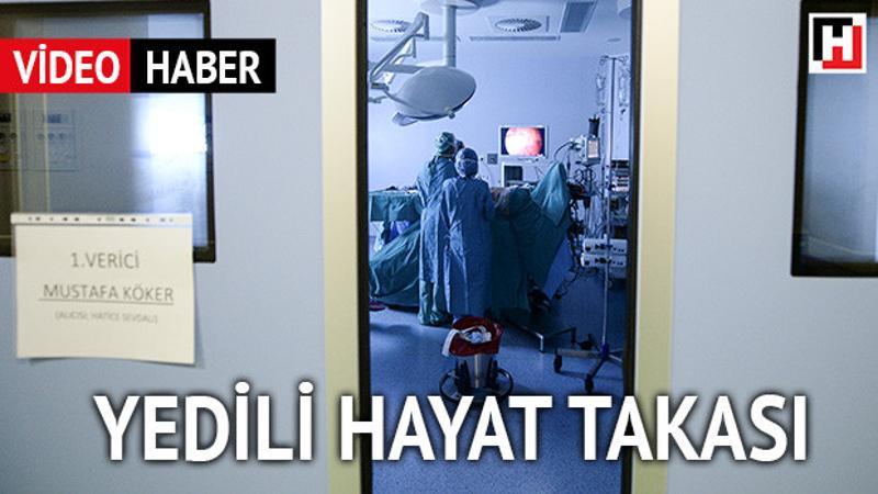 Yedili hayat takası