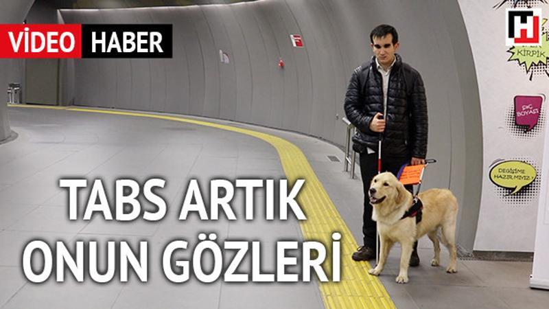 Tabs artık onun gözleri