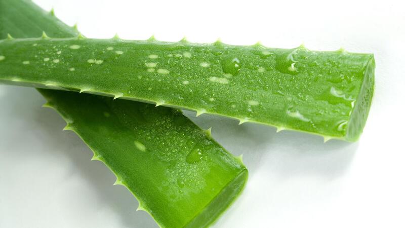 Aloe vera jeli nasıl çıkartılır?