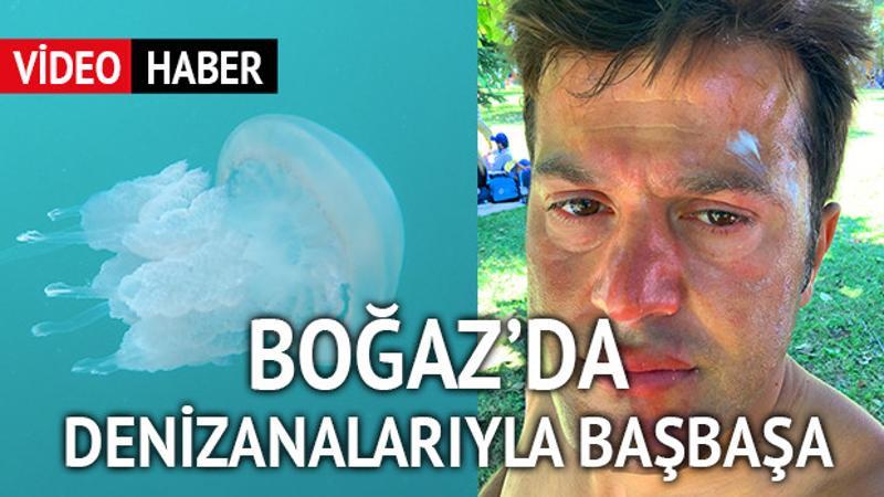 Boğaz’da denizanalarıyla baş başa
