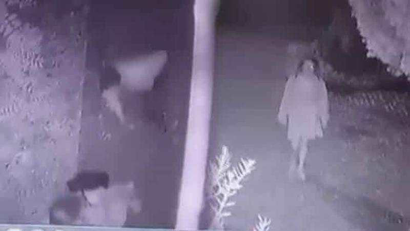 Evine giden genç kızın tacize maruz kaldığı anlar kamerada