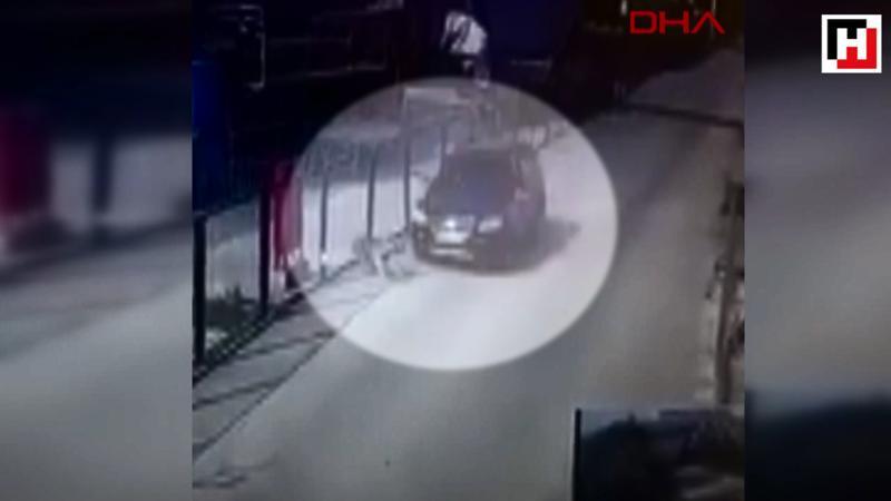Mama yiyen köpeğe böyle çarptı
