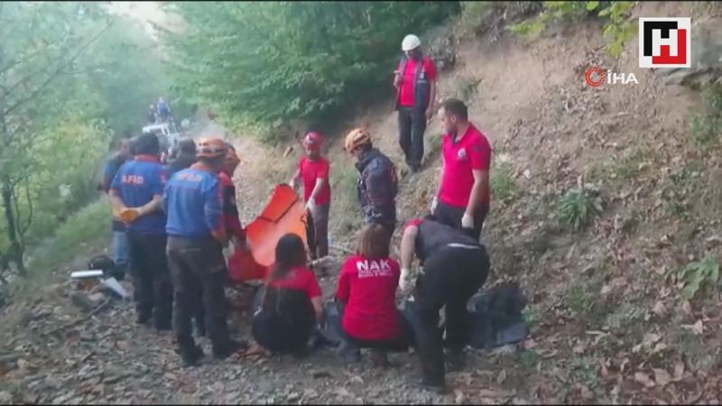 Kestane toplarken ağaçtan düştü, yolunu kaybedip canından oldu