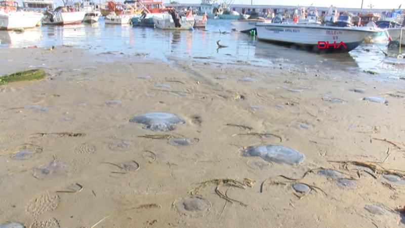Tekirdağ'da deniz 25 metre çekildi