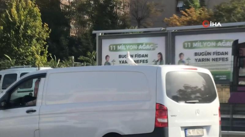 Güvercinin araç üzerindeki yolculuğu kamerada