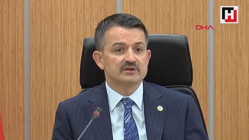 Çorum'da rekor fidan dikimi
