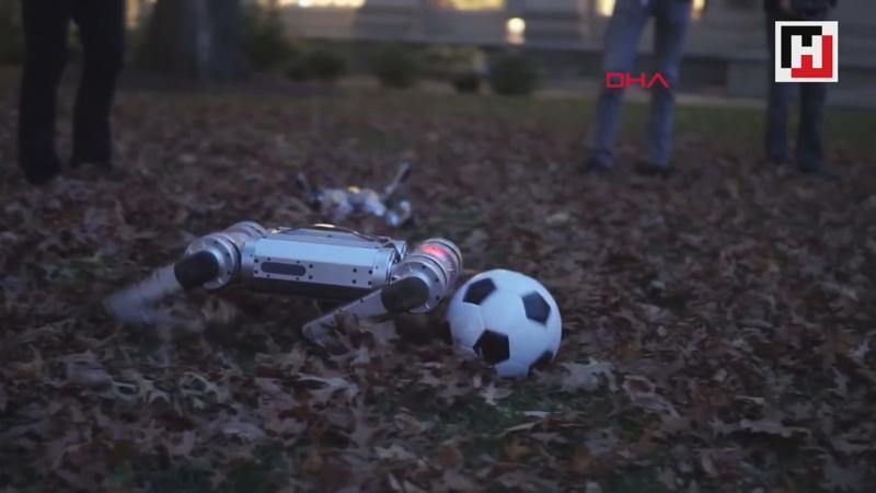ABD'de robotlar futbol oynadı