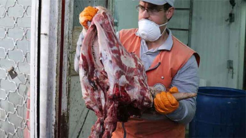Sakarya'da 20 ton kaçak et ve sakatat ele geçirildi