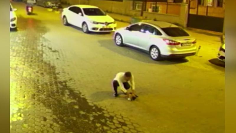 Boğazına cisim kaçan kediye müdahale