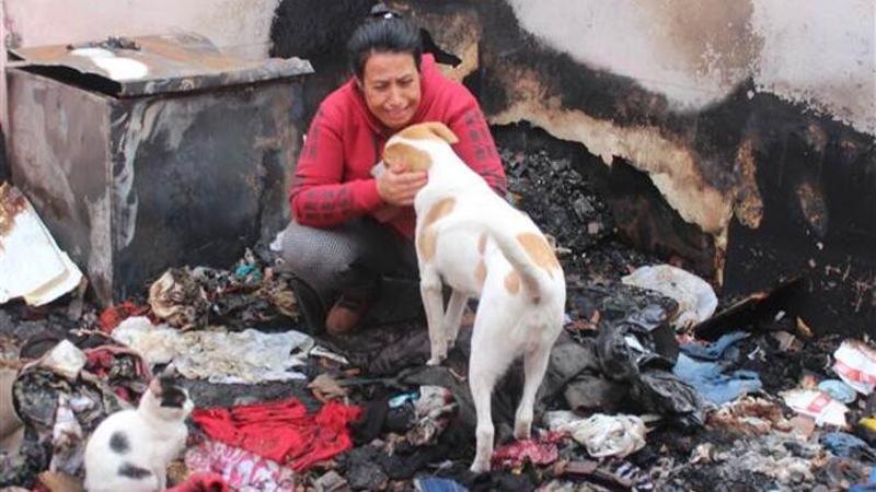 Evleri yanınca 15 kedi ve 2 köpeğiyle evsiz kaldı
