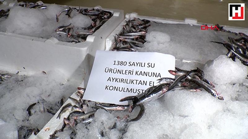 Marmara Denizi'nde balık avı denetimi