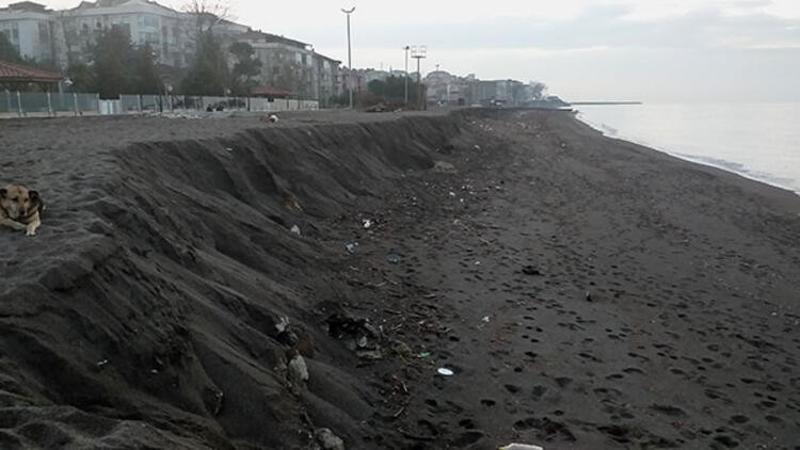 Düzce'de tedirgin eden görüntü