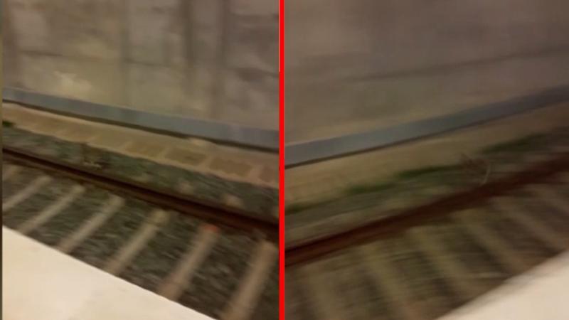 Marmaray'da trenin önünden kaçan tavşan kamerada