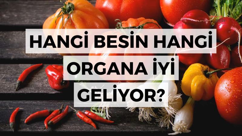 Hangi besin hangi organa iyi geliyor?
