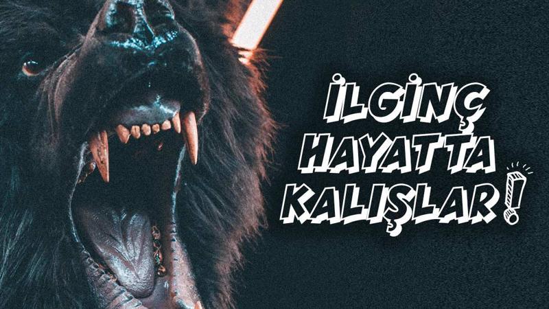 Yılın en ilginç hayatta kalışları!