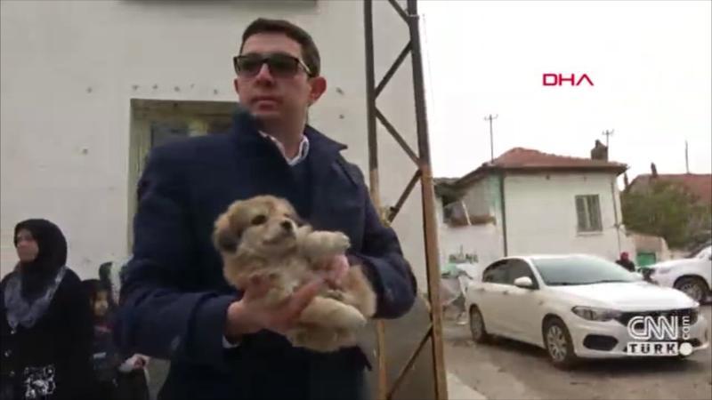 ‘Miracle’ dog rescued from rubble of collapsed building