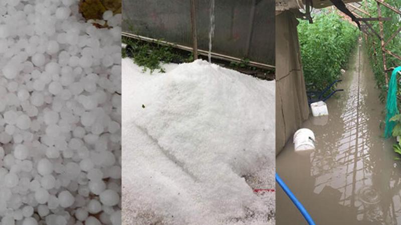 Kaş’ta sağanak yağmur sebebiyle seraları su bastı