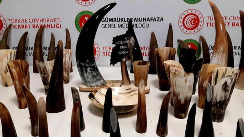 İstanbul Havalimanı'nda bufalo boynuzu operasyonu