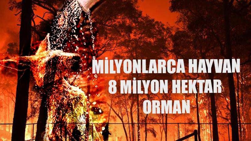 8 milyon hektar orman-366 bin insan!